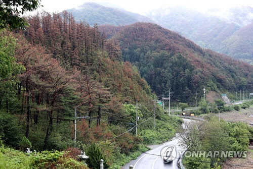 위 사진은 기사의 이해를 돕기 위함이며 해당 기사와 직접적 연관이 없습니다. <연합뉴스>
